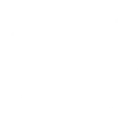 Holi Print RD